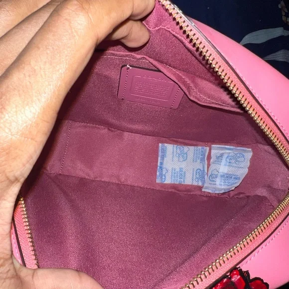 Custom pink red ruby da sleeze nicki Minaj coach bag💖❤️‍🔥 - Picture 10 of 13